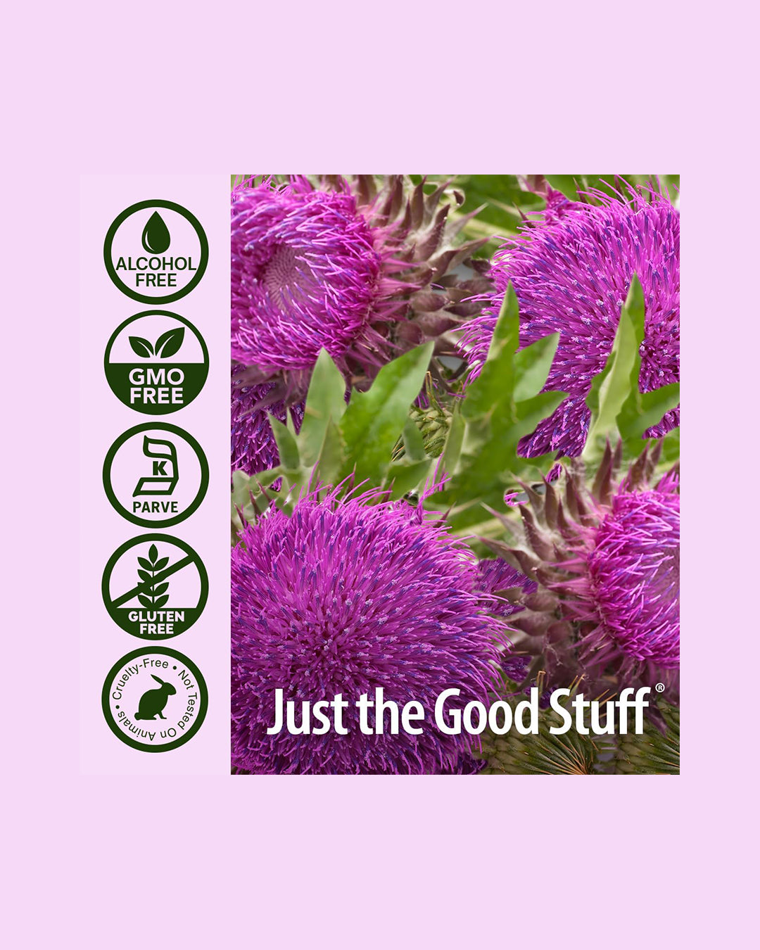 Milk Thistle 2 Ounce Extract